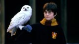Il primo regista di harry potter non parteciperà alla serie hbo