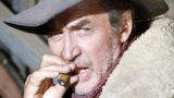 Performance da oscar di james stewart in shenandoah