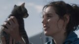 Recensione di sorry, baby: il film di eva victor da non perdere