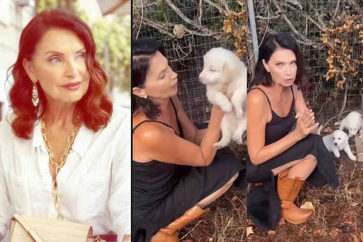 nadia mayer chiede aiuto per i cuccioli abbandonati ve li porto io a casa