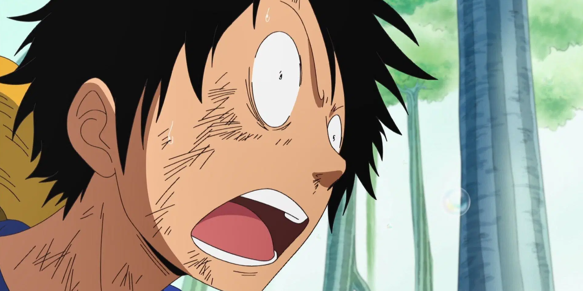 Chopper nel timeskip di one piece: perché è diventato il suo incubo peggiore