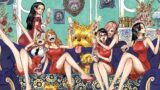 One piece e le eroine: il dibattito sui personaggi femminili nel manga