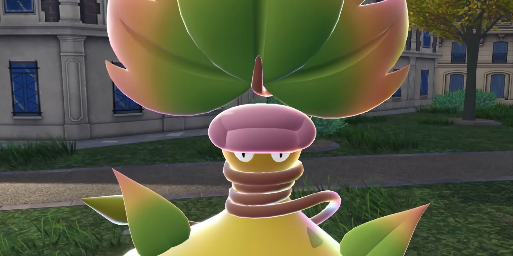 Mega victreebel in Pokémon Legends Z A: cosa aspettarsi dalle nuove mega evoluzioni