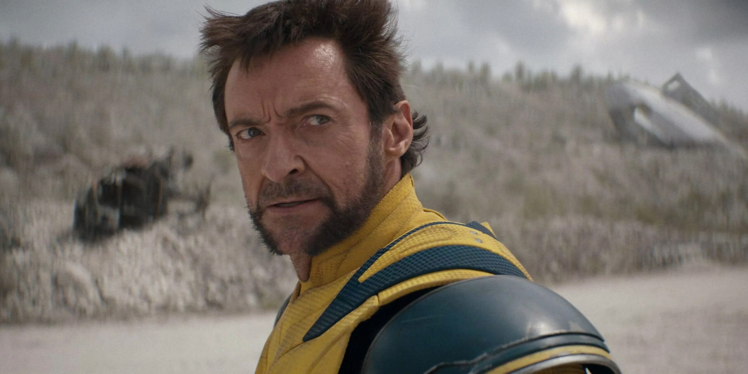 Attore che ha interpretato reed richards e wolverine potrebbe tornare nel mcu Attore che ha interpretato reed richards e wolverine potrebbe tornare nel mcu