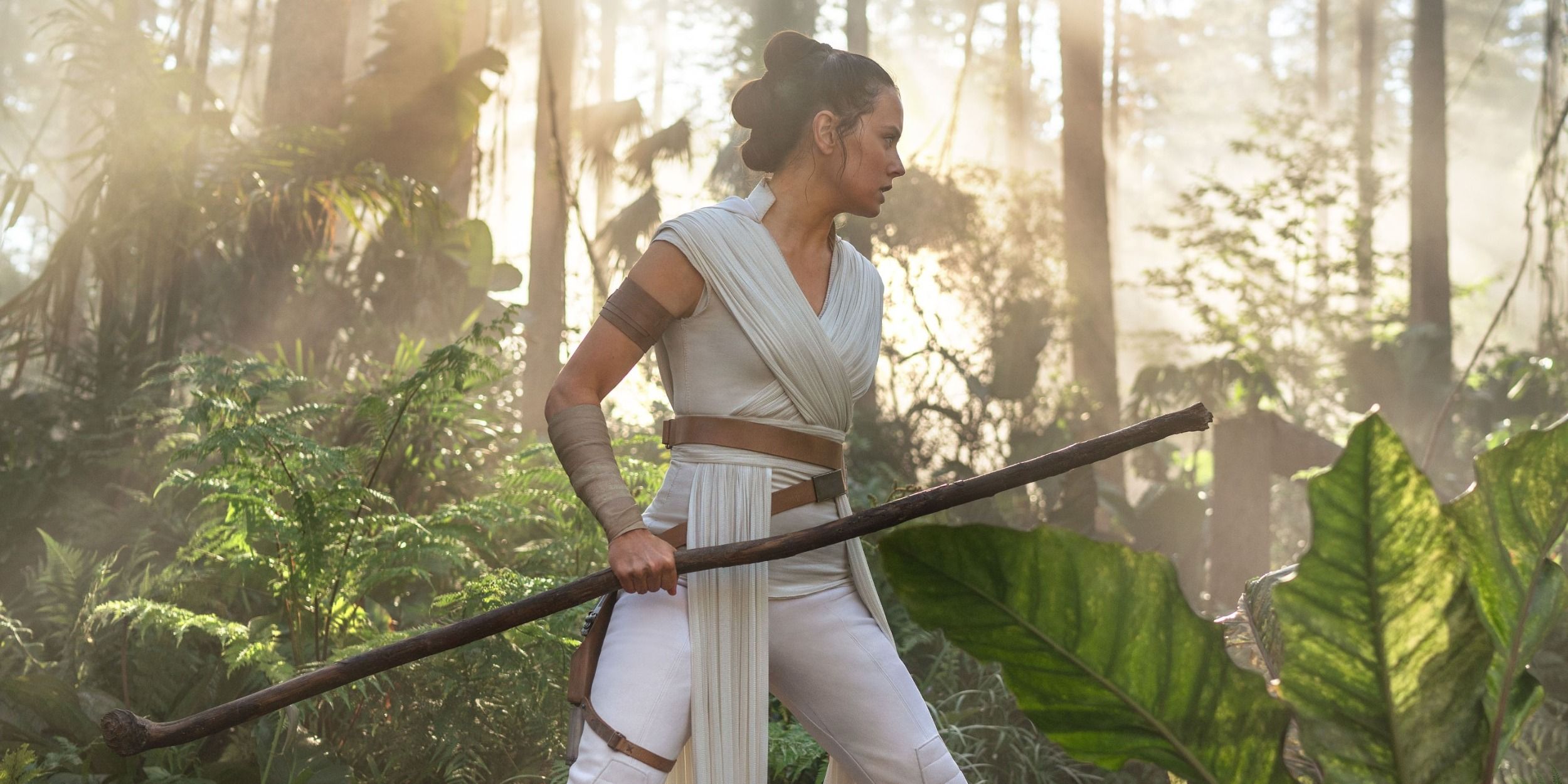 Preoccupazioni per la cancellazione del film star wars: new jedi order Preoccupazioni per la cancellazione del film star wars: new jedi order