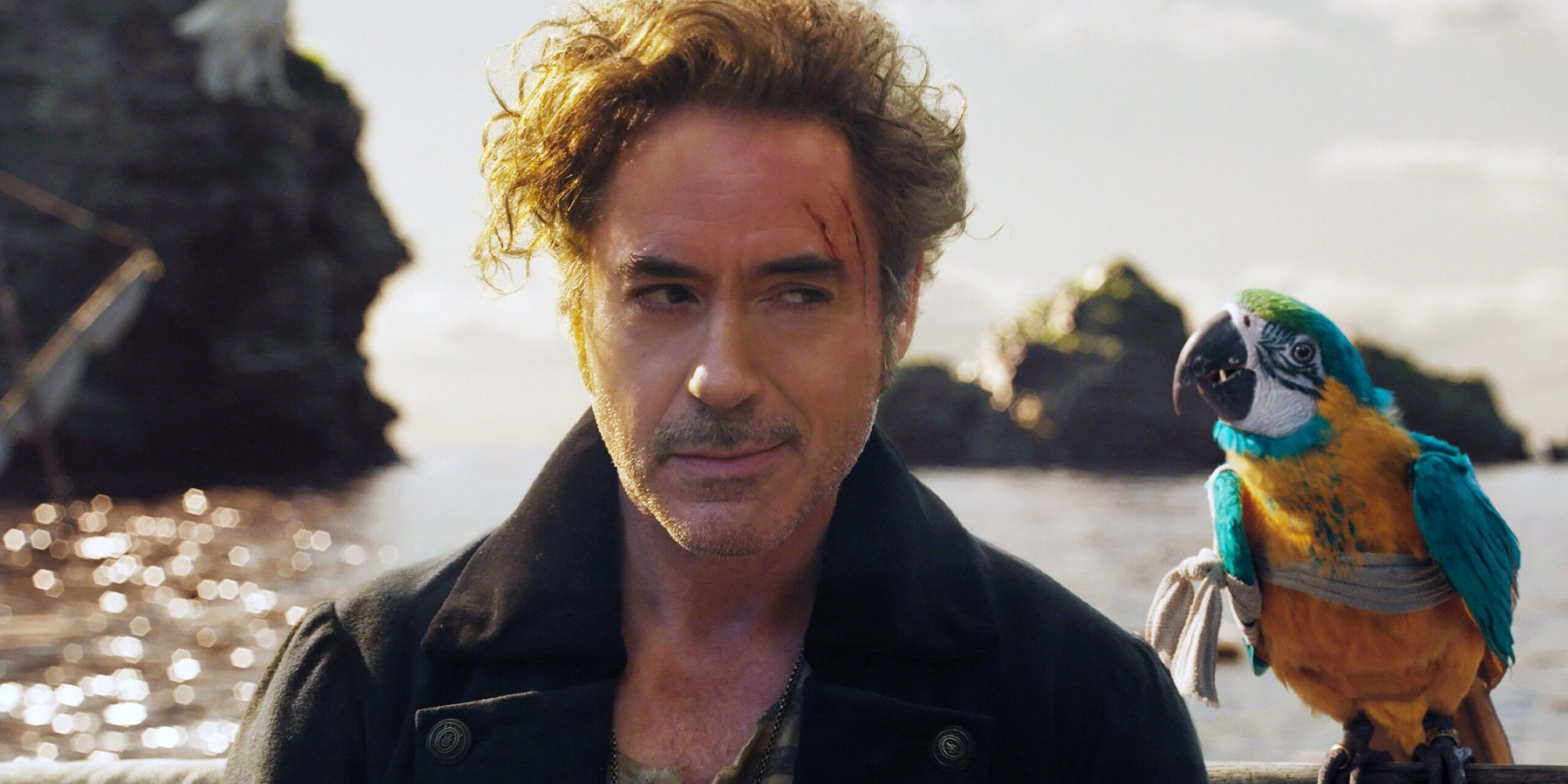 Film deludente di robert downey jr. dopo avengers con punteggio rt del 15% tra i più cercati in streaming Film deludente di robert downey jr. dopo avengers con punteggio rt del 15% tra i più cercati in streaming