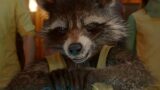 Rocket raccoon nel dc universe: la versione più stravagante e scioccante