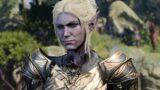 Il paladino in baldur’s gate 3: il miglior dialogo unico