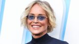 Basic Instinct: l’attrice originale parla del reboot e delle sue perplessità
