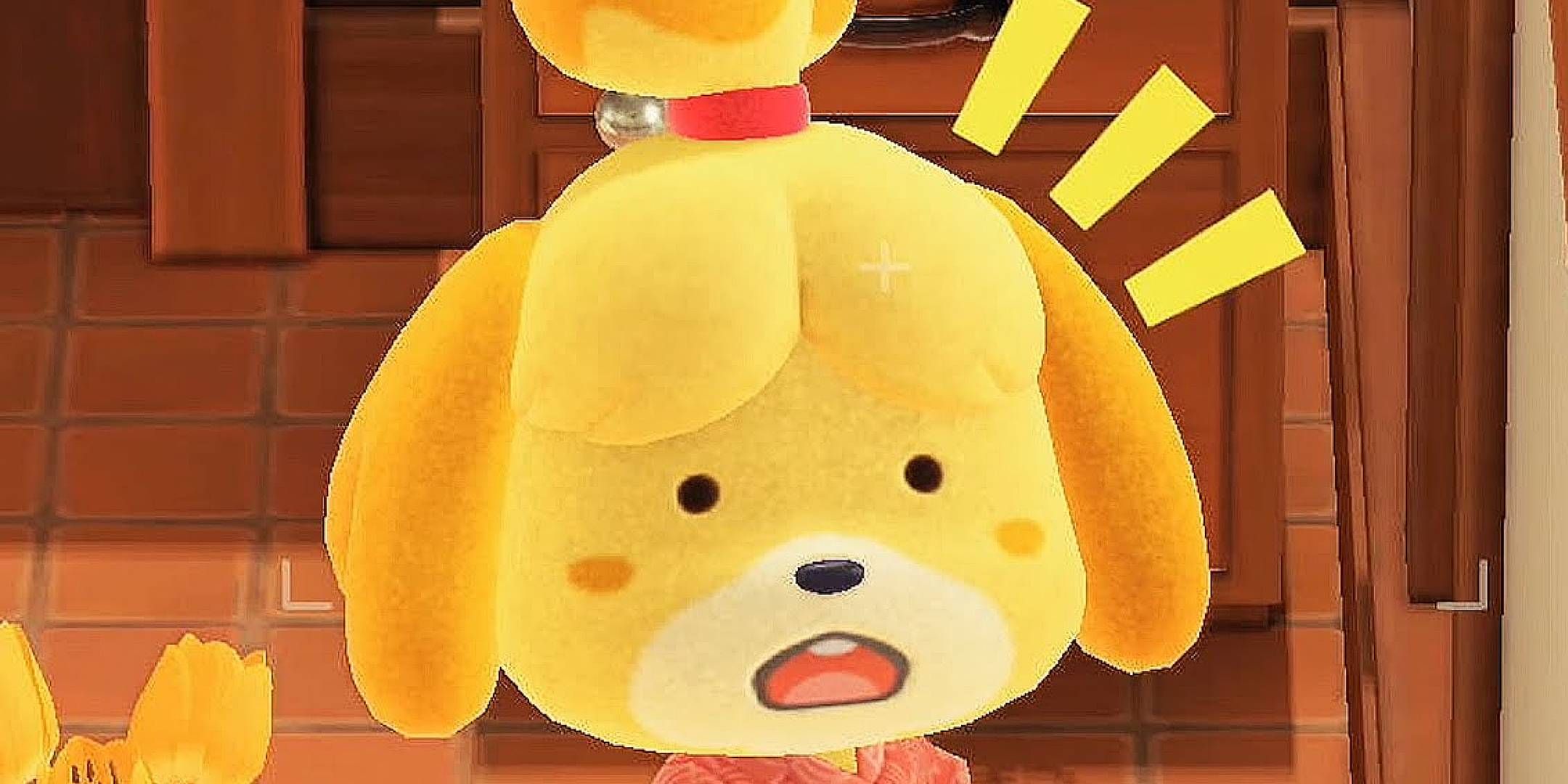 Animal Crossing ha bisogno di un’espansione open world per il successo di Switch 2