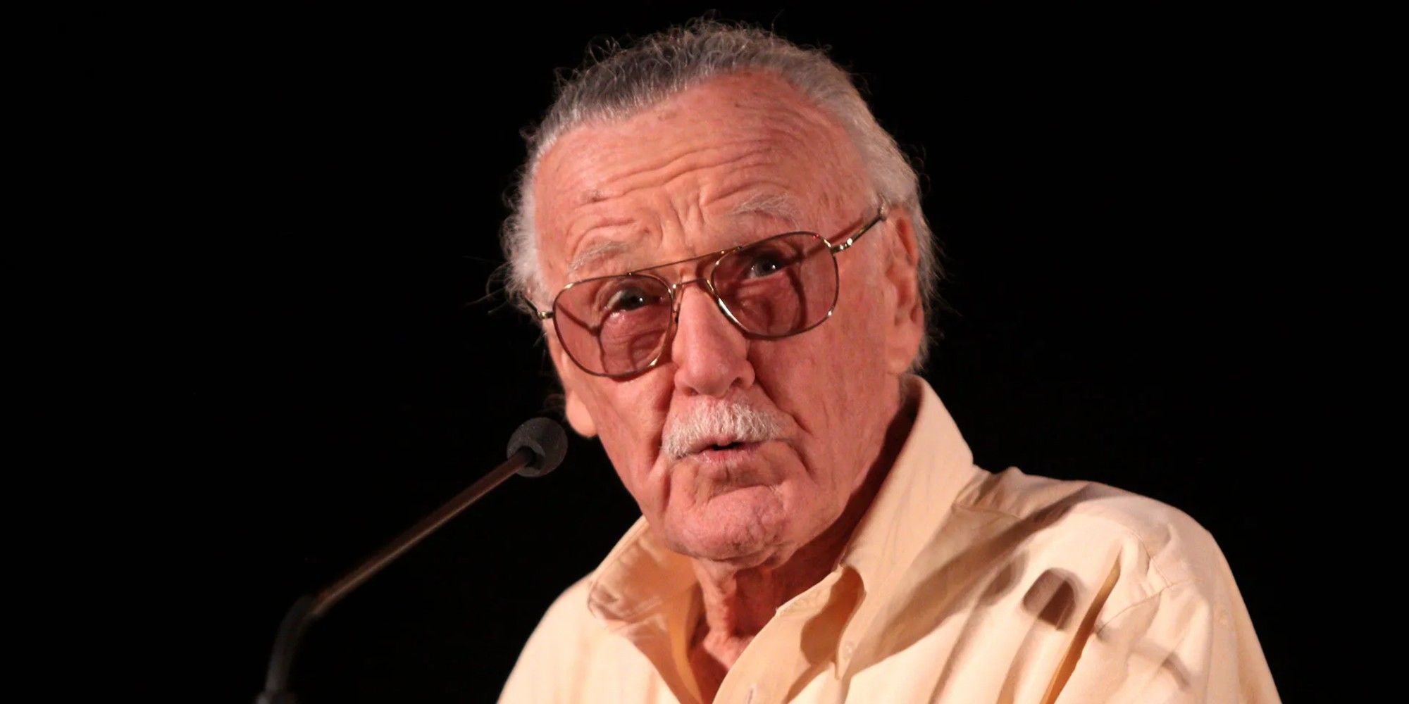 Stan lee e la sua controversa opinione sulla morte di gwen stacy nei fumetti marvel Stan lee e la sua controversa opinione sulla morte di gwen stacy nei fumetti marvel