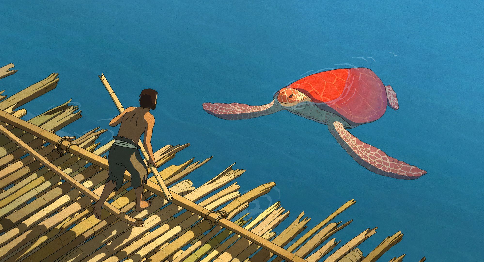 Film studio ghibli del 2016 con il 93% di voti positivi e perché è dimenticato