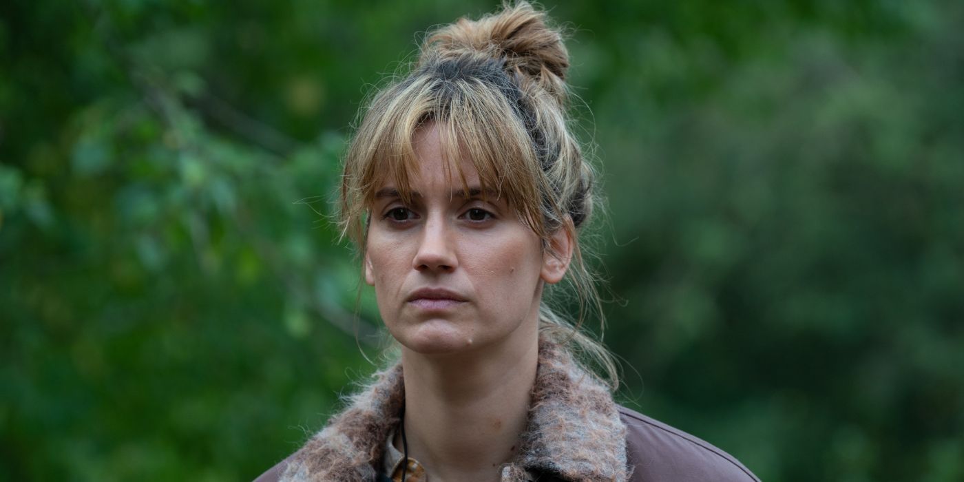 Il castagno è imperdibile: guarda la serie su netflix Il castagno è imperdibile: guarda la serie su netflix