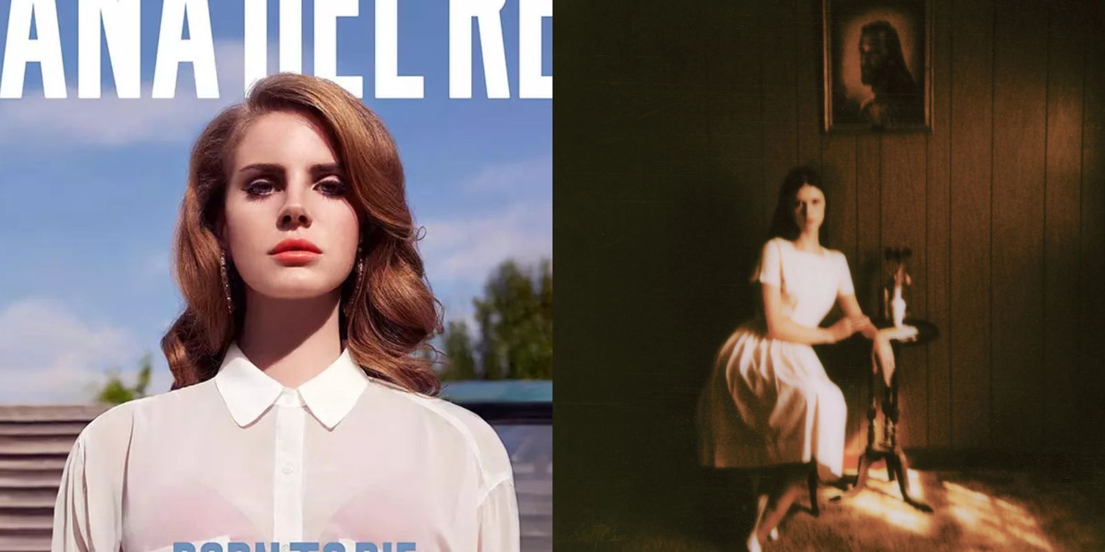 Lana Del Rey e Ethel Cain: il conflitto personale spiegato Lana Del Rey e Ethel Cain: il conflitto personale spiegato