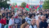 Corteo per la palestina a venezia 82, foto della manifestazione verso la mostra del cinema