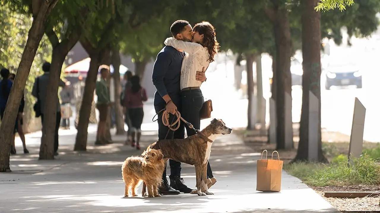Spiegazione del finale di Dog Days: cosa significa davvero Spiegazione del finale di Dog Days: cosa significa davvero