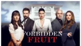 Forbidden fruit: zeynep e halit si alleano, ender provoca alihan