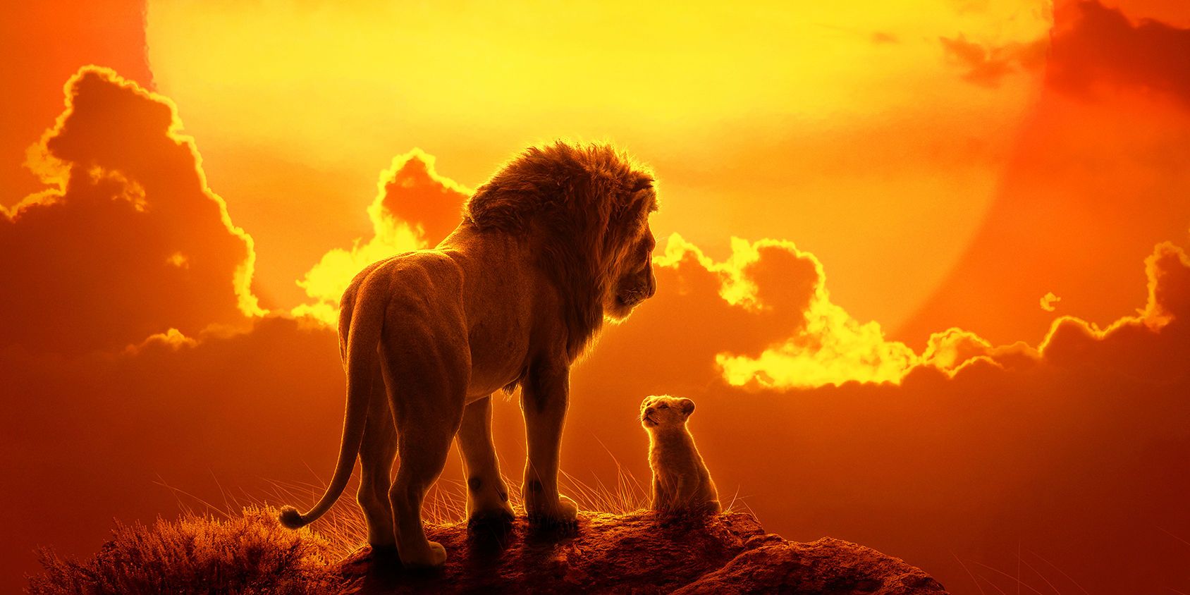 Cambiamenti deludenti nei remake live action della disney