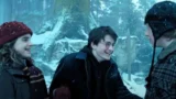 Un personaggio escluso dai film di harry potter entra nella serie