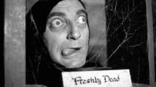 Mel brooks e cary elwes tornano insieme nella serie very young frankenstein