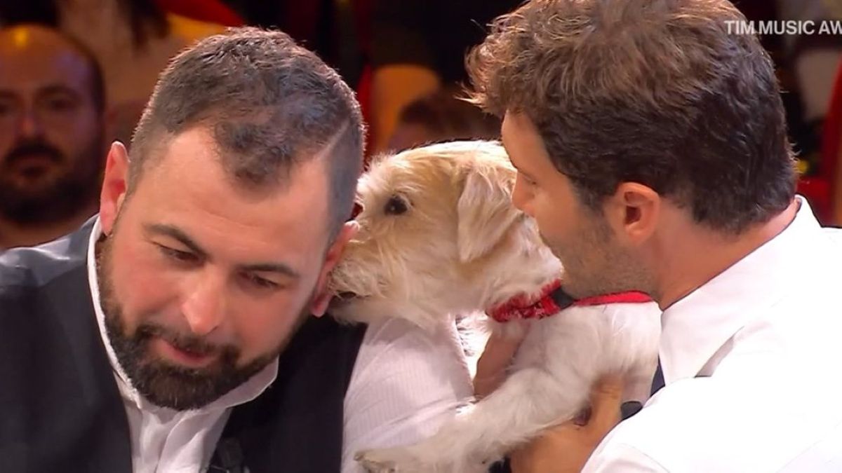 Crollo del carpentiere Mattia ad affari tuoi: come un colpo di scena ha cambiato tutto Crollo del carpentiere Mattia ad affari tuoi: come un colpo di scena ha cambiato tutto