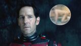 Ant-Man nel mirino di The Boys: la parodia brutale che shocka