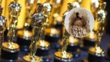 Cane nominato agli oscar come miglior sceneggiatore