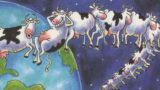 Il segreto del successo delle edizioni collezionabili di the far side