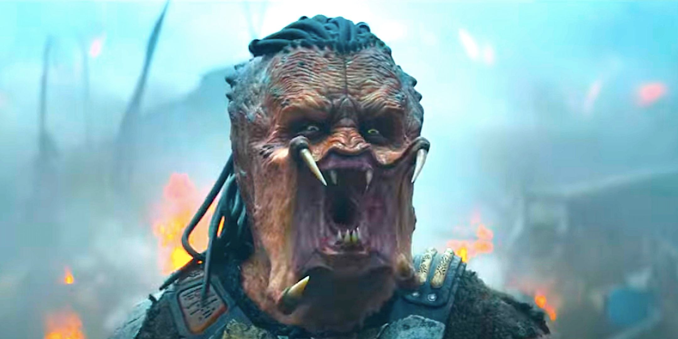 Predator: il film più acclamato della saga Predator: il film più acclamato della saga