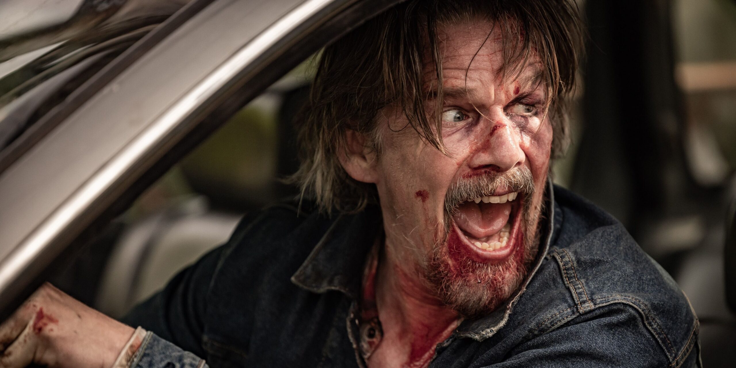 The lowdown di ethan hawke ottiene un punteggio quasi perfetto su rotten tomatoes