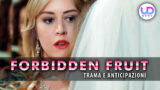 Madre di yildiz e zeynep provoca caos in Forbidden Fruit