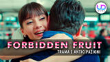 Forbidden fruit anticipazioni turche: zeynep scappa da dundar e corre da alihan