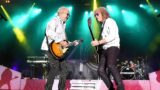 Foreigner propone di essere la band del matrimonio di taylor swift: una mossa audace