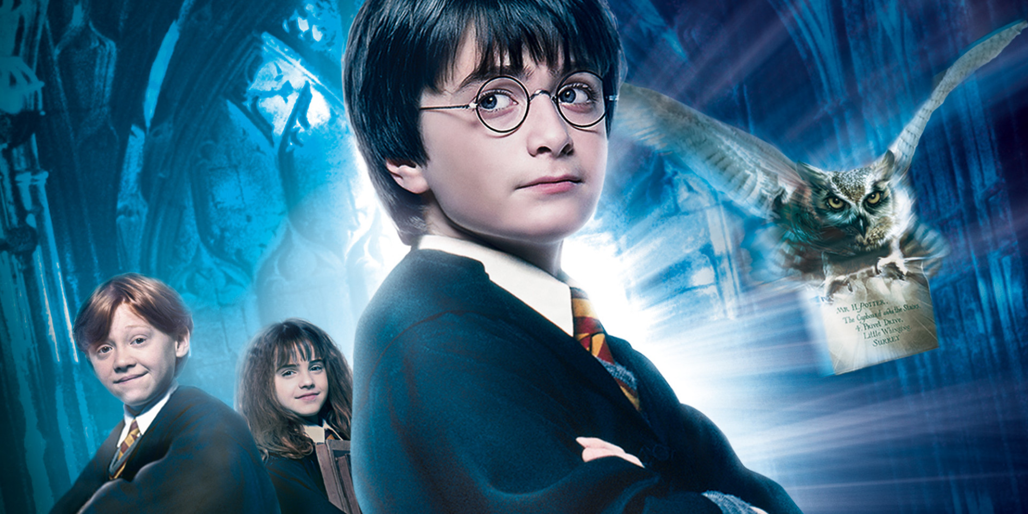 Mashle pronta per una serie live action entusiasmante