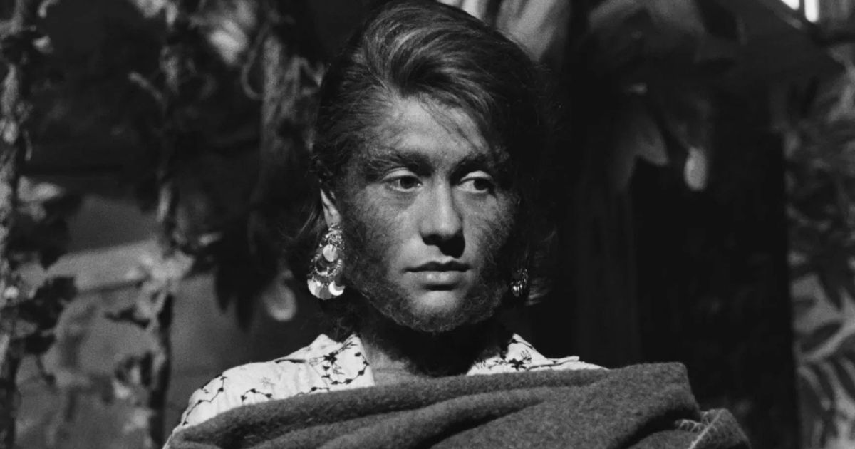 Film italiano del 1964: il grottesco come critica alla società Film italiano del 1964: il grottesco come critica alla società