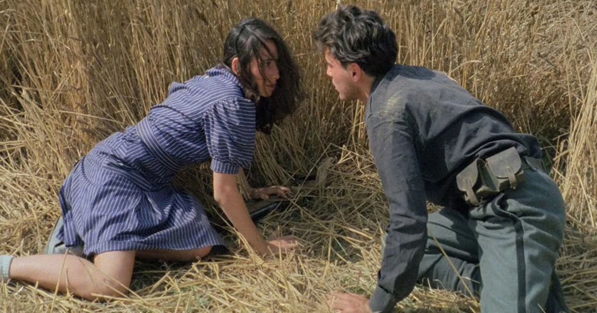 film italiano sulla memoria della guerra 40 anni di audacia e poesia