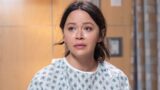 The rookie stagione 8 in fase di riprese anticipata per il suo spin-off