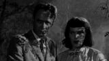 Film horror con polizza sulla vita: il rischio di morire di paura