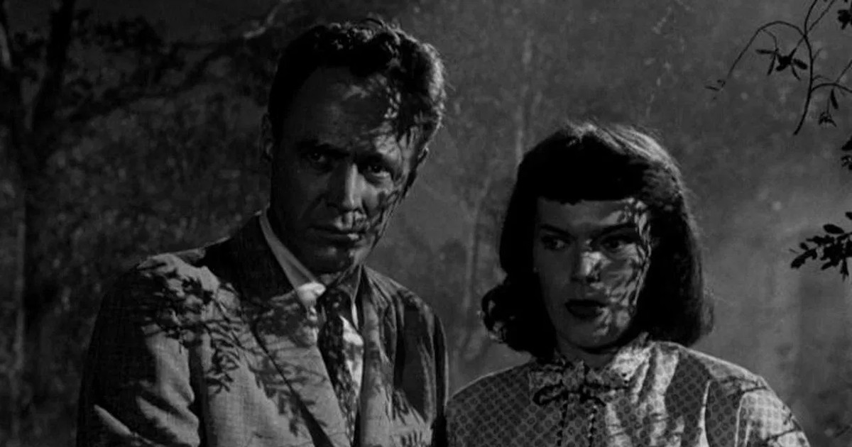 film horror con polizza sulla vita il rischio di morire di paura