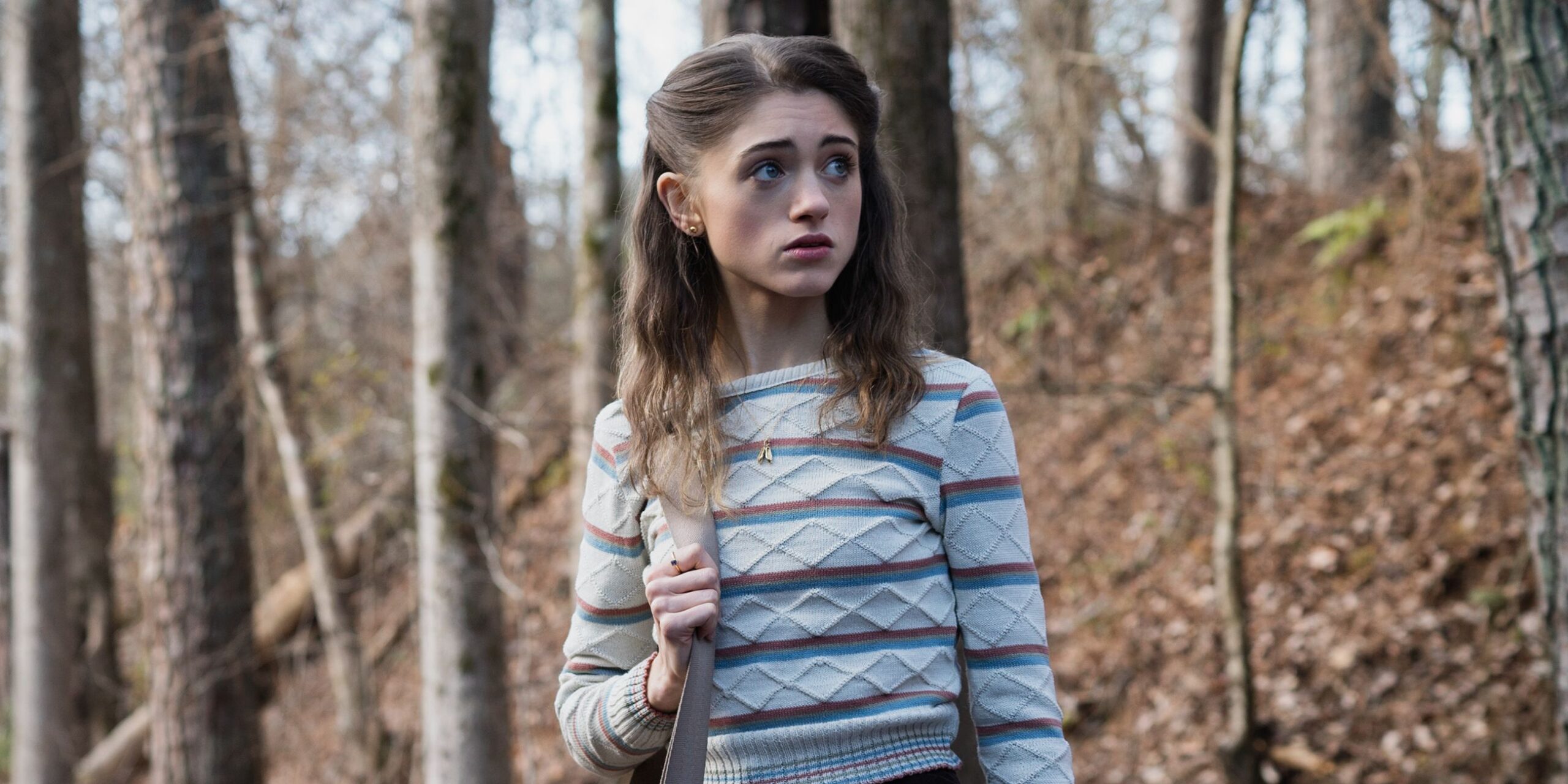 Wheeler family di stranger things: la storia contrastante nel prequel teatrale Wheeler family di stranger things: la storia contrastante nel prequel teatrale