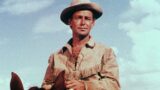 I 10 migliori film western di alan ladd