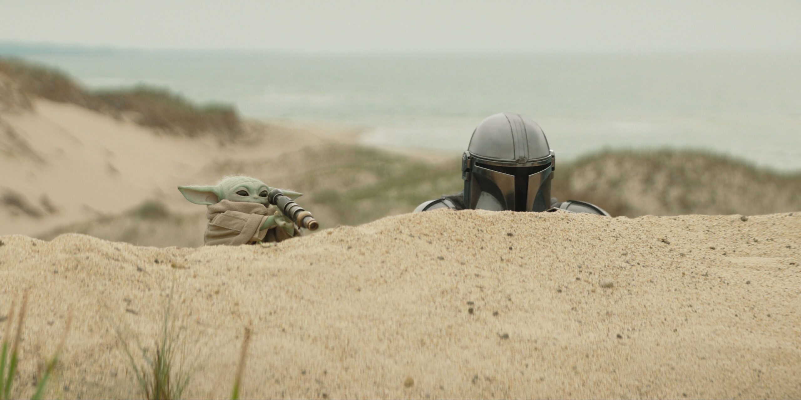 il primo trailer di the mandalorian e grogu divide i fan di star wars