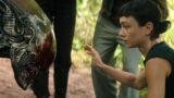 Alien e le rivelazioni sorprendenti sui xenomorfi