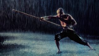 Le migliori trilogie di arti marziali che hanno rivoluzionato il genere