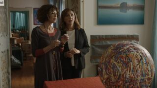 Balene amiche per sempre: il divorzio di Milla e il viaggio tra le onde