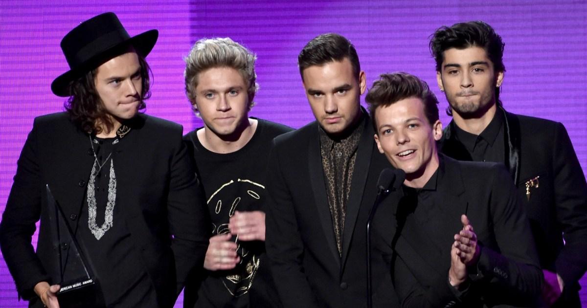 Riunione delle stelle dei one direction in un  progetto da milioni di sterline