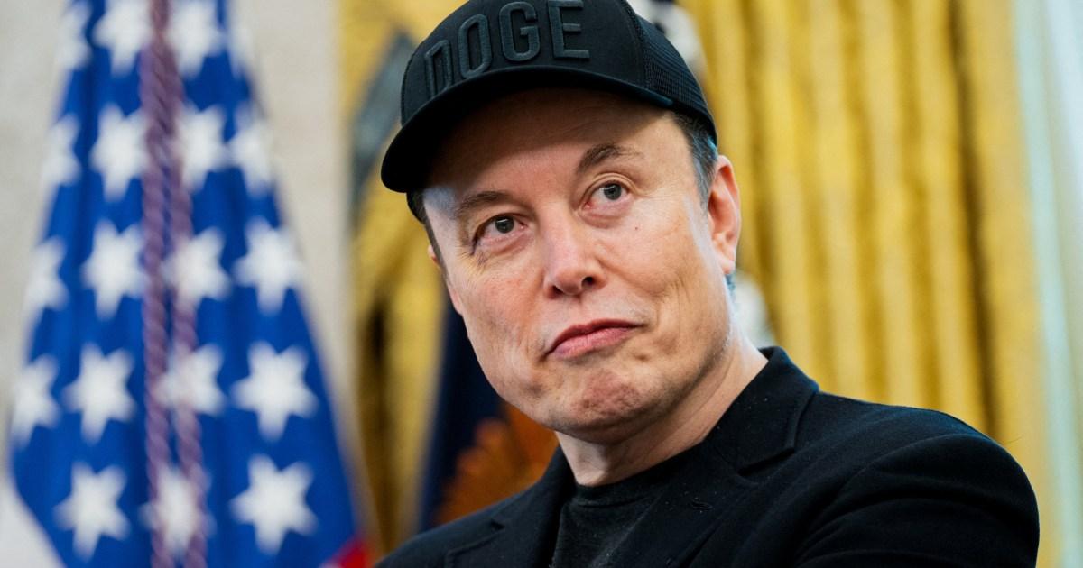 Elon musk consiglia di disdire l’abbonamento a netflix per un  cartone animato