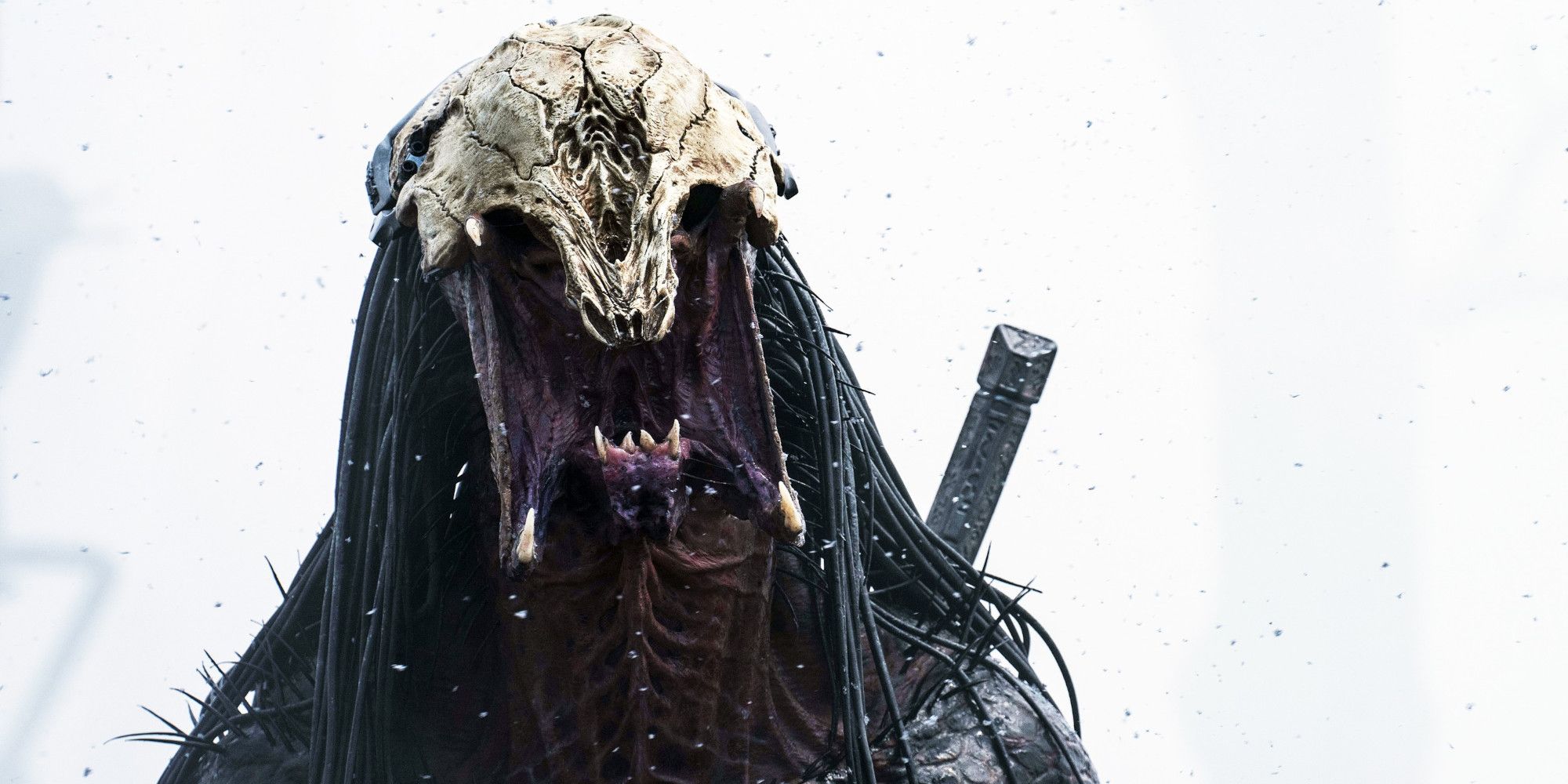 Dan trachtenberg salva il franchise di predator secondo shane black