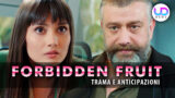 Zeynep scopre l’assassino di suo padre in forbidden fruit: anticipazioni turche