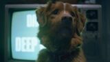 Buon ragazzo spiegazione film: destino di todd e l’entità misteriosa